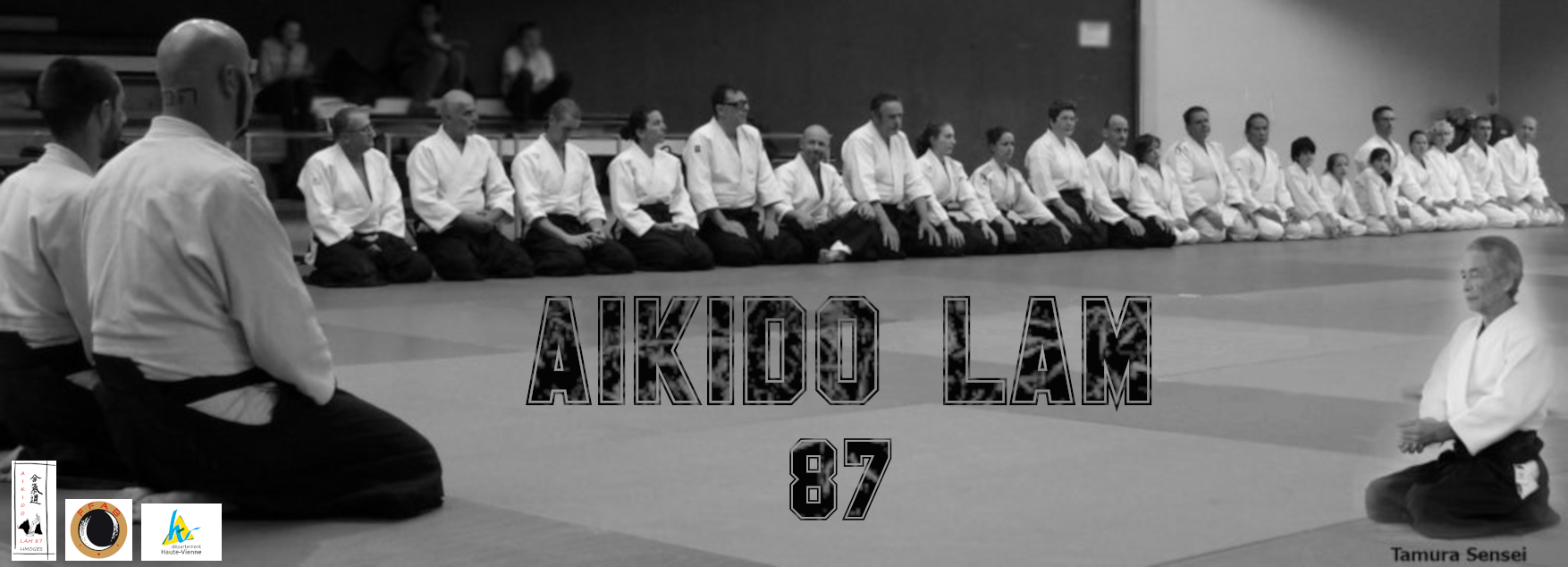 AIKIDO LAM 87