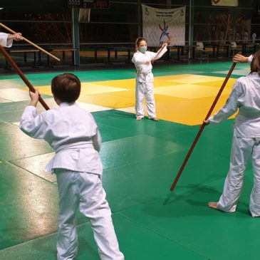 Les enfants peuvent revenir au dojo